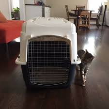 Crate training is necessary for safety, damage prevention, housetraining and travelling. Pet Travel Preparation Tips How To Crate Train Your Cat Petrelocation