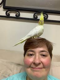 Anyone know of any discords or groups out there who focus