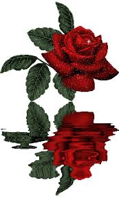 You can also find latest motion graphics and digital designs along with various links to purchase eye catching art. á…top 49 Flowers Gif Beautiful Flowers Gif Images 2021