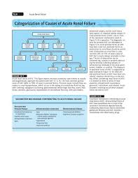 Image result for Postrenal Failure