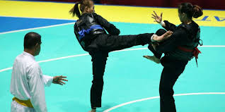 Pukulan dalam pencak silat adalah serangan yang dilakukan dengan menggunakan tangan kosong. Gerak Spesifik Tangkisan Bela Diri Pencak Silat Halaman All Kompas Com