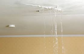 Dream 291 A Man In His Thirties Had Dreams Of Different Places He Was Living In Or Hiding In The Roofs Were Always Leaking Wa Roof Leak Repair Emergency Roof Repair