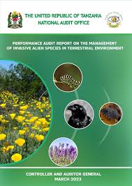 Image result for Astripomoea hyoscyamoides