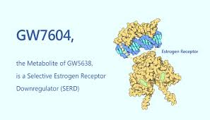 Image result for Selective Estrogen Receptor Modulator
