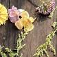 Pilates + Flower Picking