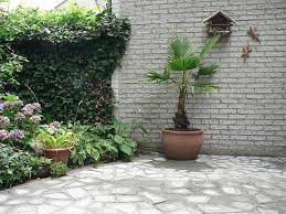 oude stoeptegels kapot gemaakt in mozaiek patroon teruggelegd en dicht gesmeerd met cement leuk en goedkoop hergebruik van de teg tuin ideeen tuin tuintegels