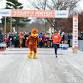 Up North Media Traverse City Turkey Trot