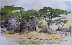 Image result for Brachystegia glaucescens