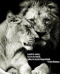 Cool With A Lion Motivational Quotes Best Quotes Home Design Ideas Bestquotes