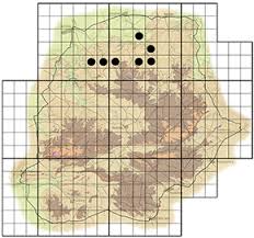 Image result for Entandrophragma caudatum