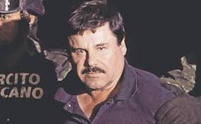 Born 4 april 1957), commonly known as el chapo ('shorty', pronounced el ˈtʃapo) because of his 168 cm (5 ft 6 in). Perfil Joaquin Guzman Loera La Venganza En El Rostro