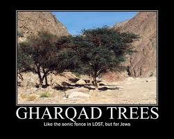 Pokok gharqad atau nama lainnya nitraria retusa sedang ditanam dengan meluas di israel & palestin untuk dijadikan sebagai tempat persembunyian. Sigma Nusantara Tahukah Anda Pokok Yahudi Atau Gharqad Lycium Merupakan Satu Jenis Pokok Yang Mengandungi Kira Kira 90 Spesies Yang Tumbuh Di Zon Beriklim Sederhana Dan Subtropika Selain Itu Pokok Ini Juga