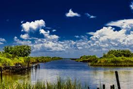 40+ Cameron Parish Louisiana Stock Photos, Pictures & Royalty-Free Images