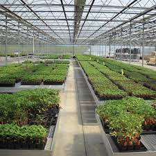 You are not signed in. Premium Greenhouse Benches Growers Supply