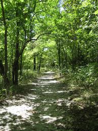 Burr Oak Woods