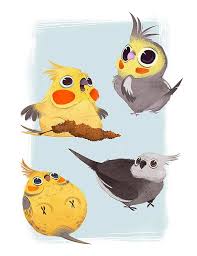 So Silly So Puffy So Cockatiel Bird Art Bird Art Print Cockatiel