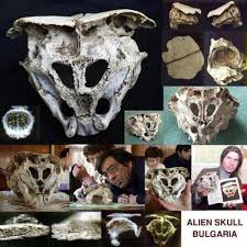 The Mysterious Rhodope Skull Is This How Aliens Look Like Alienigenas Antiguos Extraterrestre Misterios Antiguos