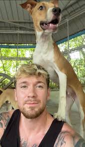 Fundraiser by Abija Music : Ein besseres Zuhause für Tosca & ihre Babies...