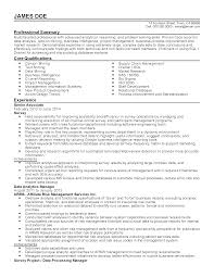 professional data analytics manager
