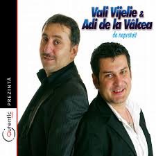 118,582 likes · 515 talking about this. Vali Vijelie