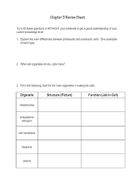 organelle structure picture function job in cell