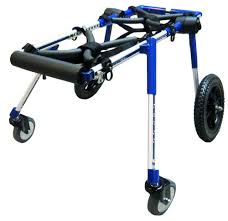 New Wheels Jpg 1000 970 Dog Wheelchair Wheelchair Dogs