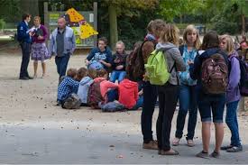 Maak kennis met heel wat prachtige dieren in planckendael, de dierentuin gelegen aan de rand van mechelen. Tiener Kritiek Na Ongeval In Speeltuin Planckendael Mechelen Gazet Van Antwerpen Mobile