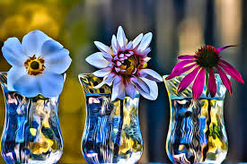 We did not find results for: Three Flowers In Glass Vases Photograph By Modern Art