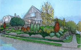 Drawntogarden Landscape Design Drawings Garden Drawing Garden Landscape Design