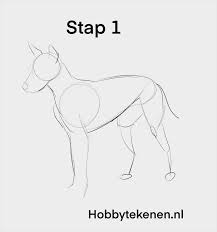 Eenvoudig dieren tekenen christopher hart auteur. Realistische Hond Leren Tekenen Hobbytekenen Nl Hobbytekenen Nl