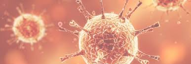Nach auffassung des ovg ist die maskenpflicht auch geeignet, zum gewünschten erfolg der pandemieeindämmung beizutragen. Informationen Zum Coronavirus Kreis Stormarn
