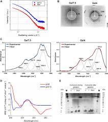 Frontiers | Hierarchical self-assembly of a reflectin-derived peptide