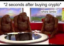 Meme is an experimental protocol mashing up some of the most exciting innovations in defi and crypto collectibles. Where Lambo Cryptocurrency