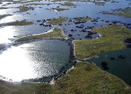 Pantanal South Central South America 5170 Pantanal Wikipedie Sul