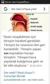 Sesin oluşabilmesi için titreşim gereklidir. Ses Nasil Ortaya Cikar Eodev Com