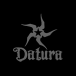 Datura Cover Band at Tin Roof