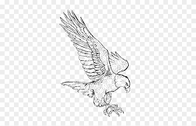 Drawing a bald eagle youtube. Flying Eagle Sketch Png Free Flying Eagle Sketch Png Transparent Images 145083 Pngio