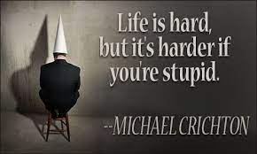 Stupidity Quotes