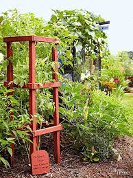 A trellis is a landscaping structure you can add to your fruit or veggie garden to help your climbing plants thrive. 53 Tomato Trellis Designs Completely Free Epic Gardening