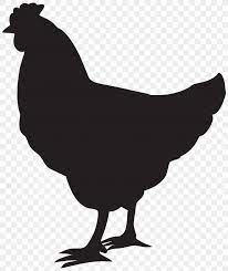 We did not find results for: Ayam Cemani Silhouette Clip Art Png 6709x8000px Ayam Cemani Beak Bird Black And White Chicken Download