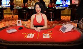 Image result for agen togel