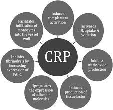C Reactive Protein Inflammation And Coronary Heart Disease Sciencedirect