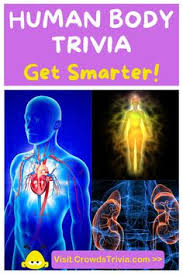 No matter how much your brush up on your human anatomy 101, there will always exist a set of cool anatomy facts and fun medical trivia that will never cease to surprise you. Traktor Trgovec Vodenje Body Quiz Ingenieriacontraincendio Com
