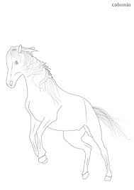 Also check out tons of hidden picture books from highlights that we highly recommend! Horses Coloring Pages Free Printable Horse Coloring Sheets