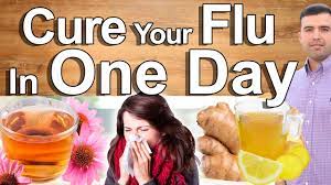 7 Flu Or Common Cold Natural Remedies - How To Cure The Common Cold In One  Day - Youtube