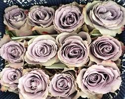Wählen sie ihre nächste destination ! Have You Seen Our Grey Knights Potomac Floral Wholesale Facebook