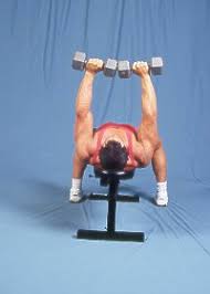 Resultado de imagen de gimolimpo