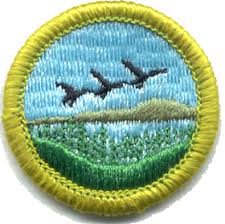 merit badge boy scouts of america wikipedia