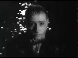 DUN FIELD THREE "Lion"