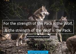 Friendship quotes love quotes life quotes funny quotes motivational quotes inspirational quotes. 9 Amazing Rudyard Kipling Quotes From The Jungle Book